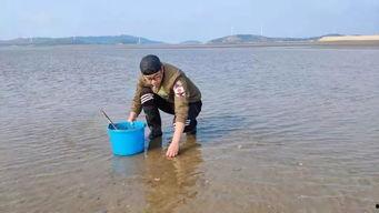 我要看赶海视频