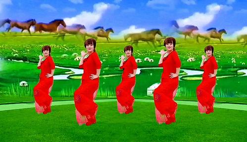 敖包相会广场舞视频,民族风情与健身乐趣的完美融合